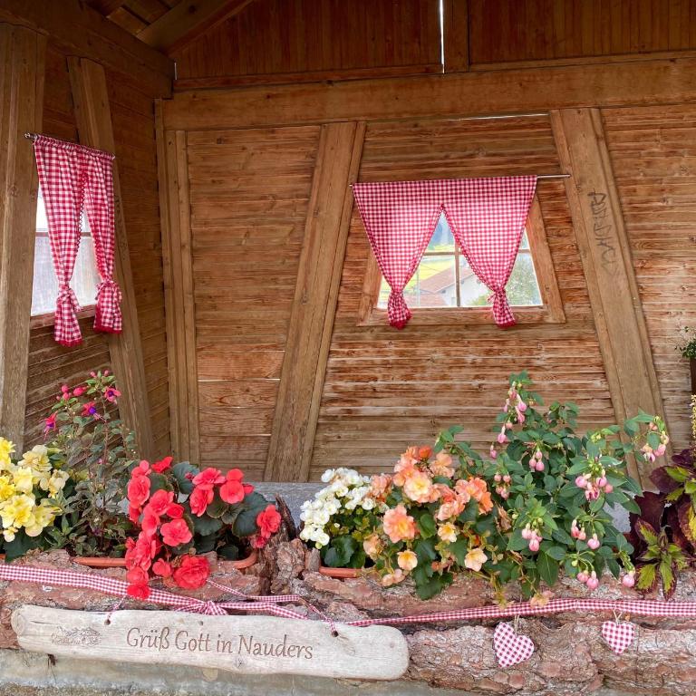 Haus Dilitz-Theiner- Brunnenperle - Apartment mit 1 Schlafzimmer - 35