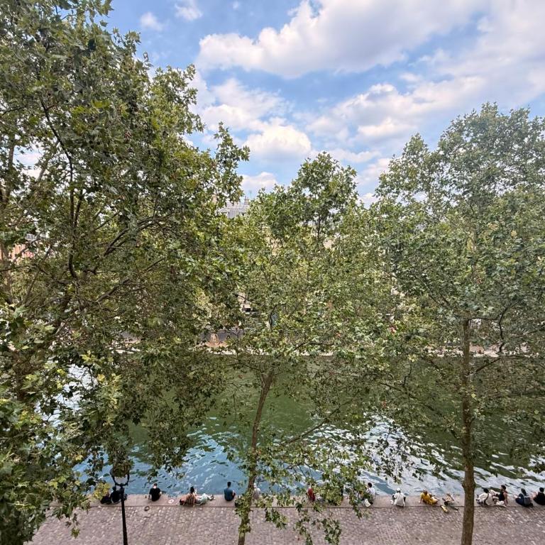 Bright flat with terrace & vue on Canal St Martin - Appartement avec Vue et Balcon - 21