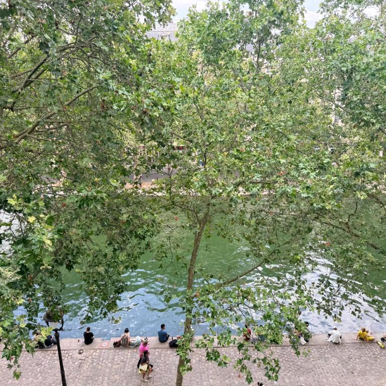 Bright flat with terrace & vue on Canal St Martin - Appartement avec Vue et Balcon - 2
