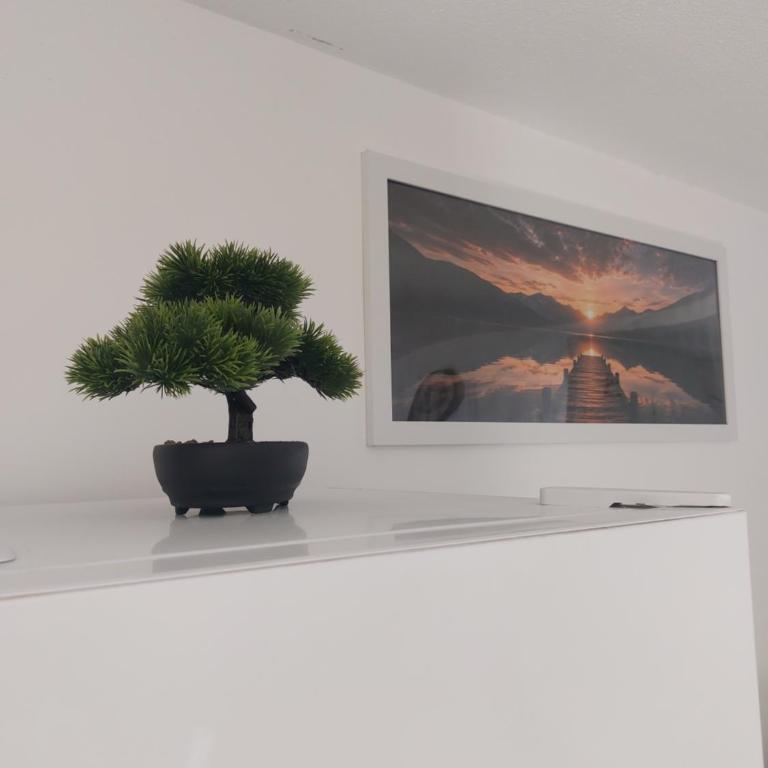 Le Petit Nid des Plages - Appartement 1 Chambre - 4