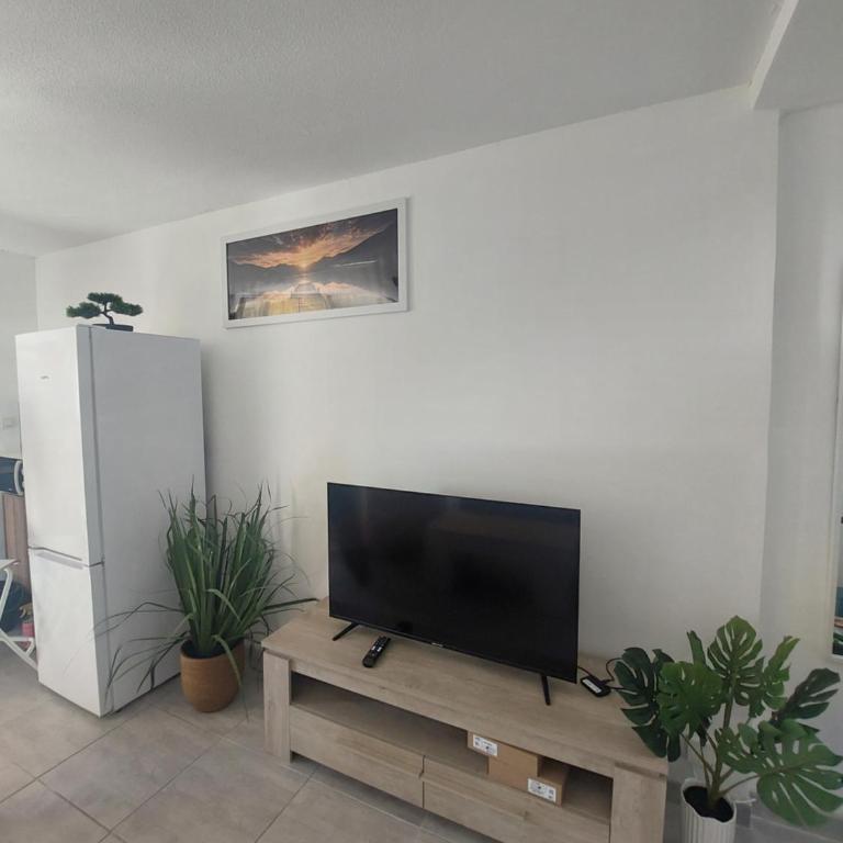 Le Petit Nid des Plages - Appartement 1 Chambre - 2