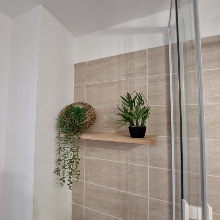 Le Petit Nid des Plages - Appartement 1 Chambre - 12