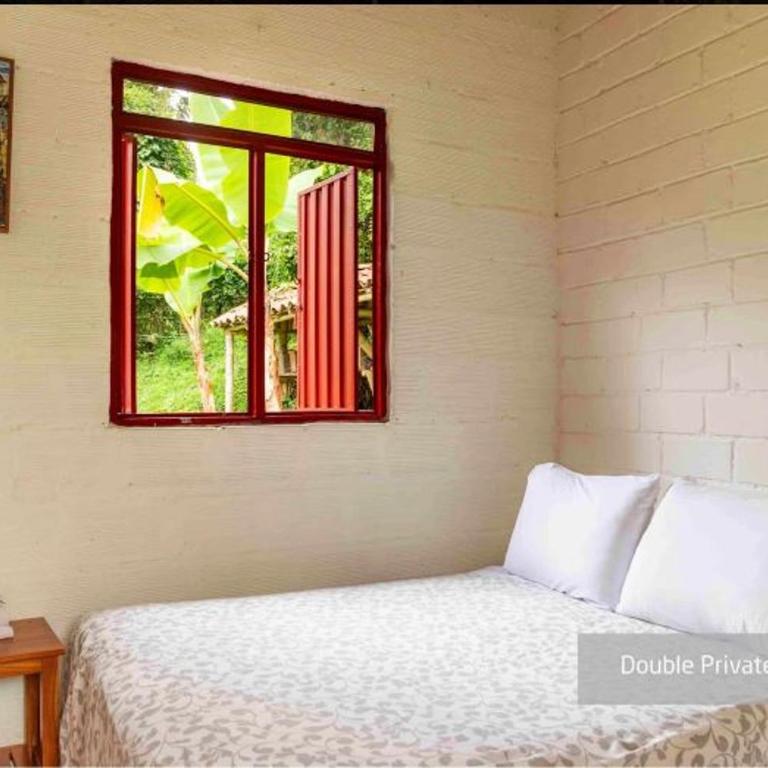 Hacienda Venecia Hostel - Budget Double Room - 1