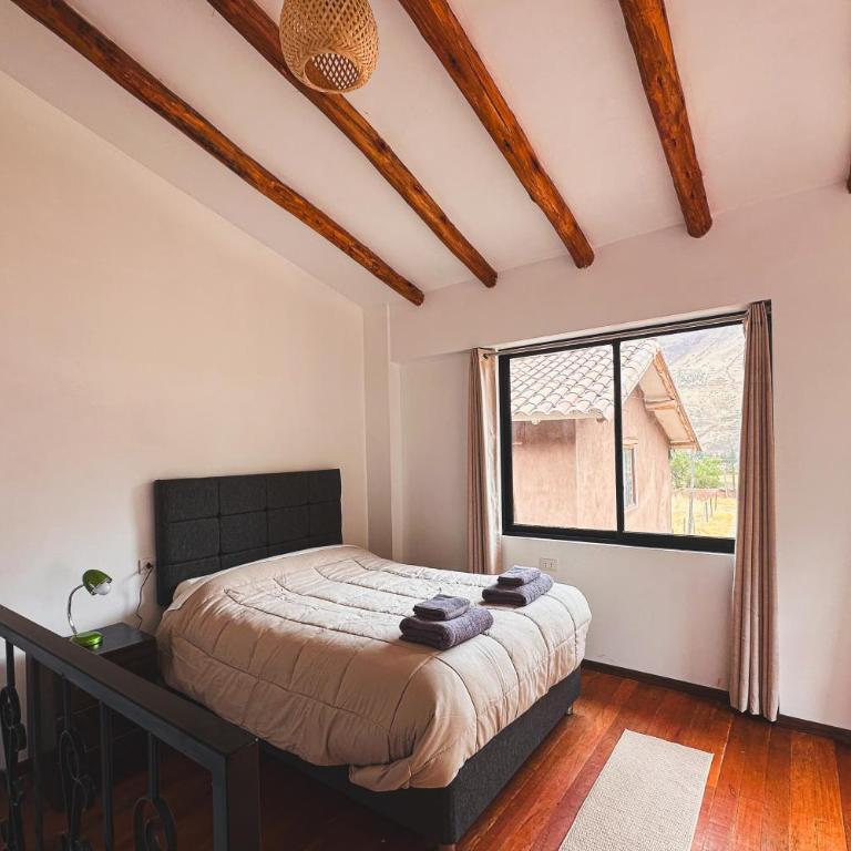 Beautiful and large apartment in quiet Pisac area - One-Bedroom House - 6