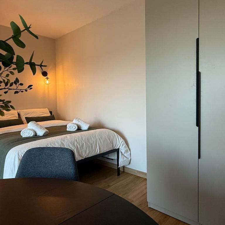 Escale Colmarienne - Appartement 1 Chambre - 2