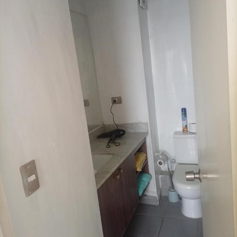 Vista Laguna a pasos Universidad San Sebastián - Apartamento de 1 dormitorio - 2