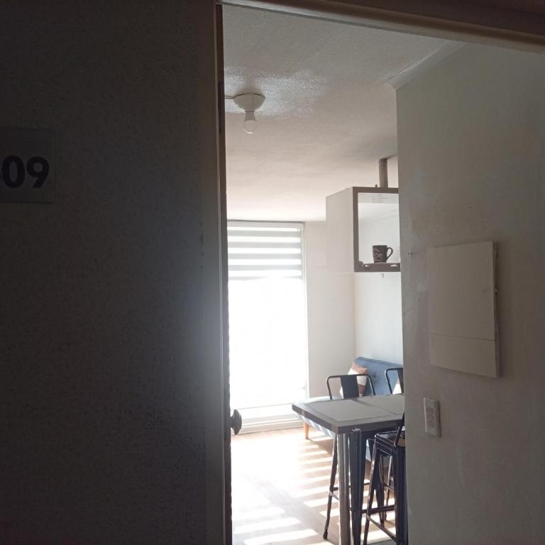 Vista Laguna a pasos Universidad San Sebastián - Apartamento de 1 dormitorio - 3