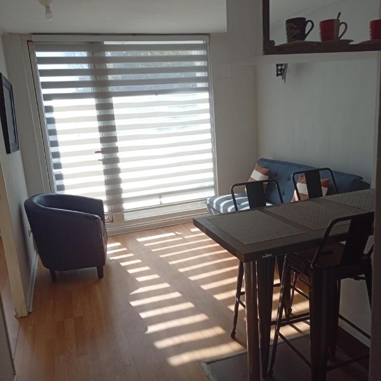 Vista Laguna a pasos Universidad San Sebastián - Apartamento de 1 dormitorio - 12