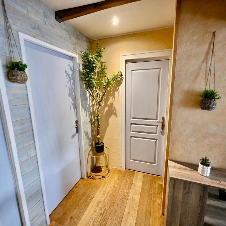 Grand T3 traversant avec 2 Balcons en Hypercentre - Appartement 2 Chambres Deluxe avec Balcon - 30