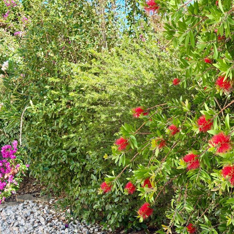 vent du cap - Four-Bedroom House - 22