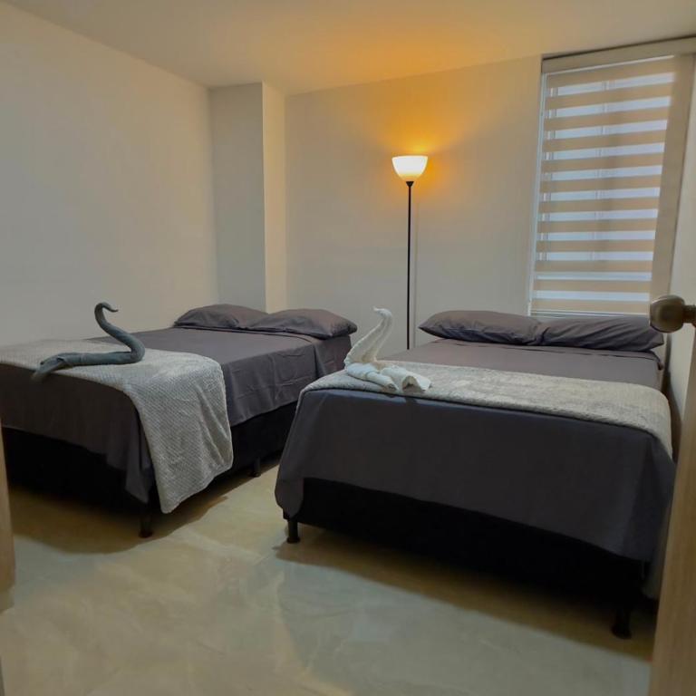 Nova House Paradise - Apartamento Estándar - 9