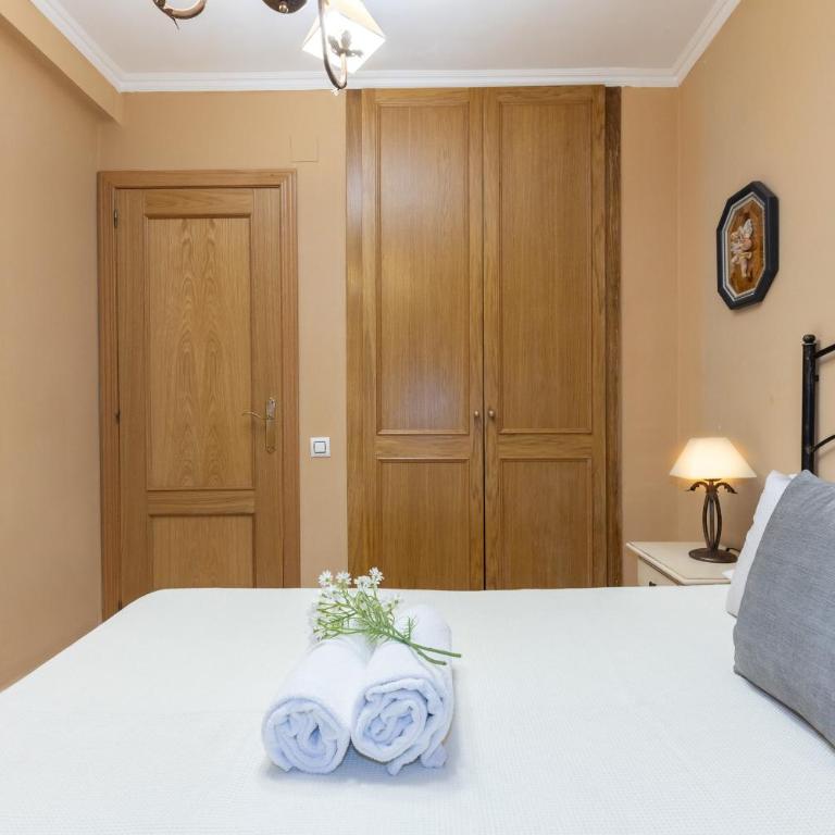 Apartment Carlos V - Apartamento con terraza - 31