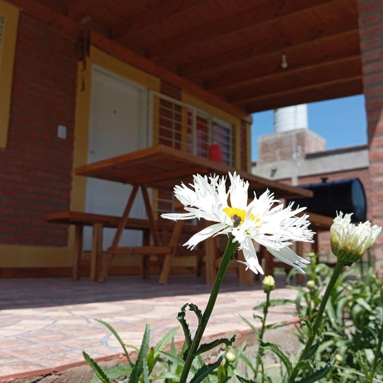 Brisas del Lago Potrero de Garay - Casa de 2 dormitorios - 15