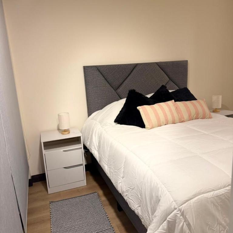 Studio in Downtown Santiago - Apartamento de 1 dormitorio - 15