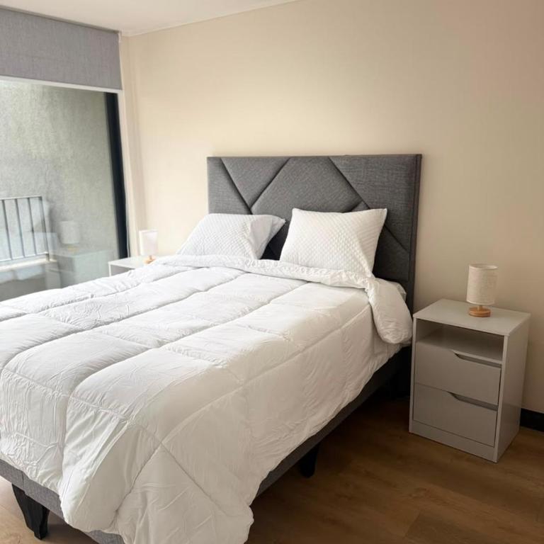 Studio in Downtown Santiago - Apartamento de 1 dormitorio - 20
