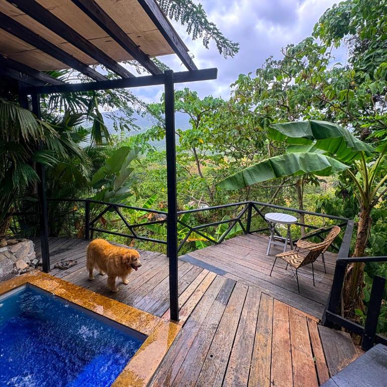 Lodge Cacao - Habitación con cama extragrande y vistas a la montaña - 2