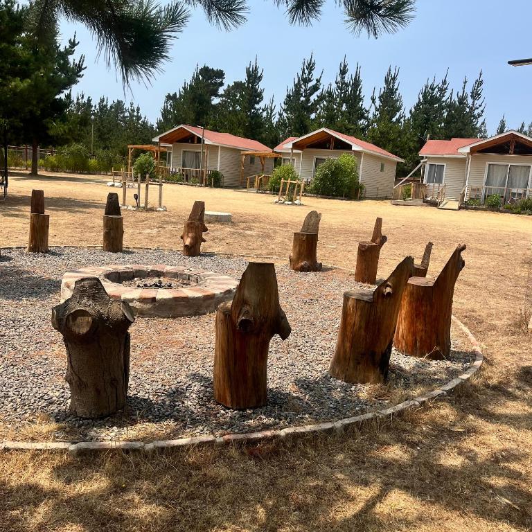 Cabañitas Zelada en un ambiente natural con piscina fogón Quincho Terraza parking full equipadas en 5000 mtrs - Casa de 2 dormitorios - 18