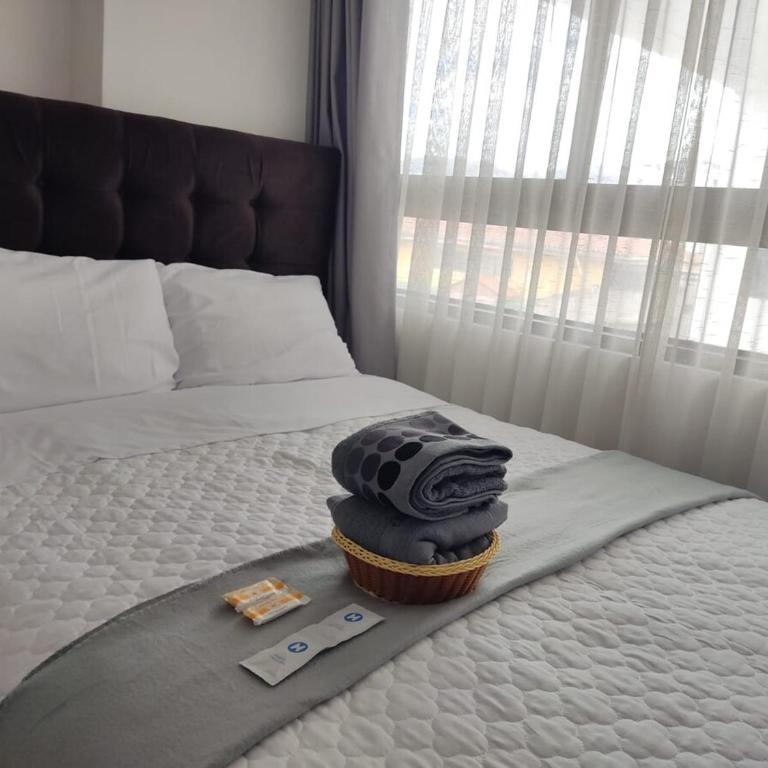 Apartment - Brich horizon signature - One-Bedroom Apartment - 15