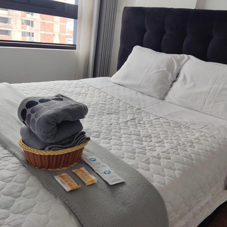 Apartment - Brich horizon signature - One-Bedroom Apartment - 11