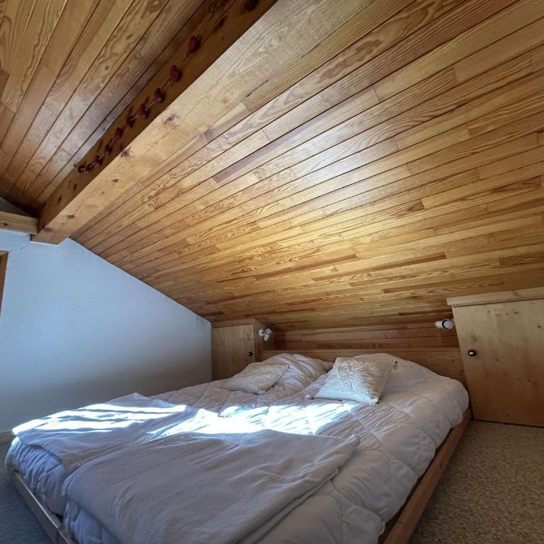 Appartement cosy, animaux OK, près des pistes - 5 pers. - Appartement 1 Chambre - 6