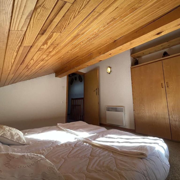 Appartement cosy, animaux OK, près des pistes - 5 pers. - Appartement 1 Chambre - 13