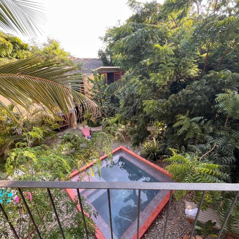 Agua de Coco - Habitación con vistas a la piscina - 1 cama grande - 19