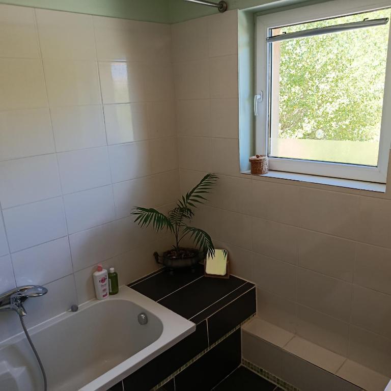 Les Terrasses du Paradis - Chambre Double avec Salle de Bains Privative Extérieure - 8