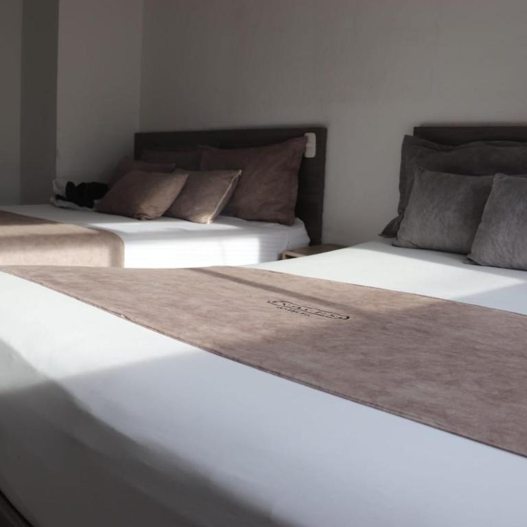 Hotel Novús,Turismo,Colombia,Medellín,Laureles,Estadio - Quadruple Room with Private Bathroom - 6