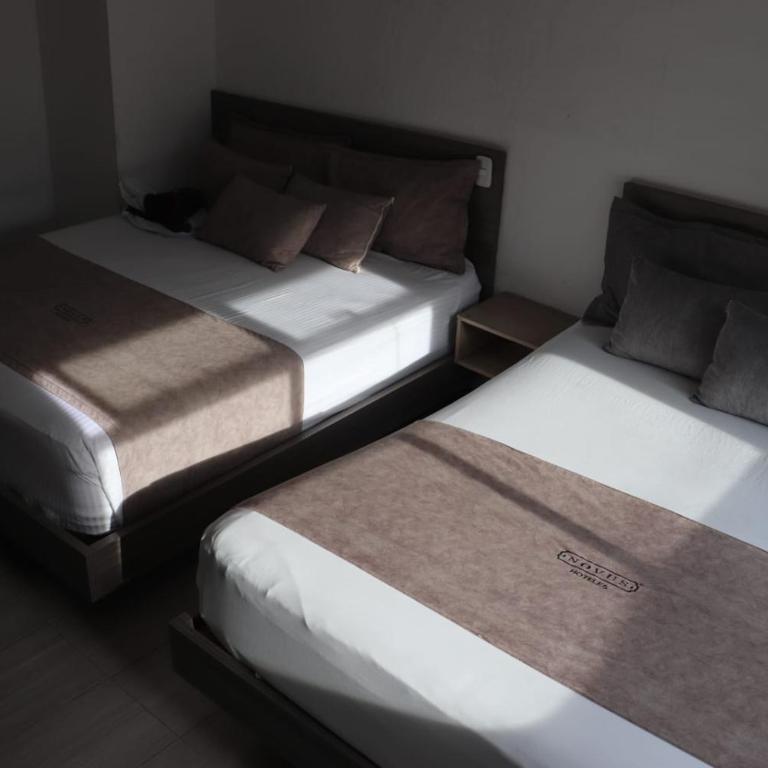 Hotel Novús,Turismo,Colombia,Medellín,Laureles,Estadio - Twin Room with Bathroom - 13