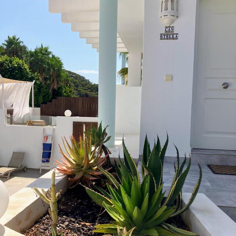 Modern Villa Cala Vadella - Sea Views, Sunset, 9 Min Walk to Beach - Quiet Area, No Parties - Villa - 55