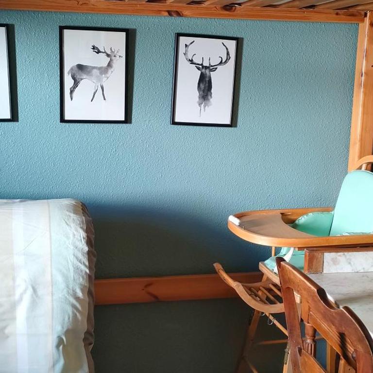 Superbe appartement entièrement rénové aux pieds des pistes - Appartement 2 Chambres - 1
