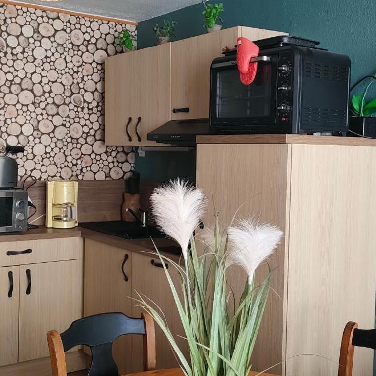 Superbe appartement entièrement rénové aux pieds des pistes - Appartement 2 Chambres - 14