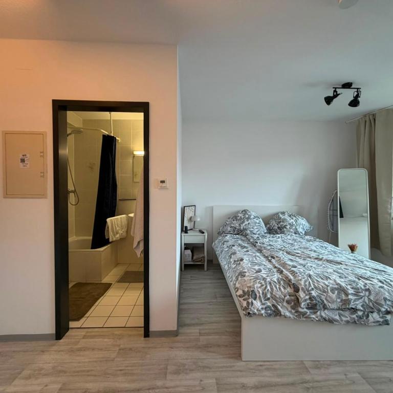 Cobblestone Studios Altstadt Nürnberg - Studio Standard - 4