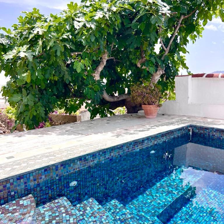 Cumbia Frigiliana House - Apartamento de 1 dormitorio - 6