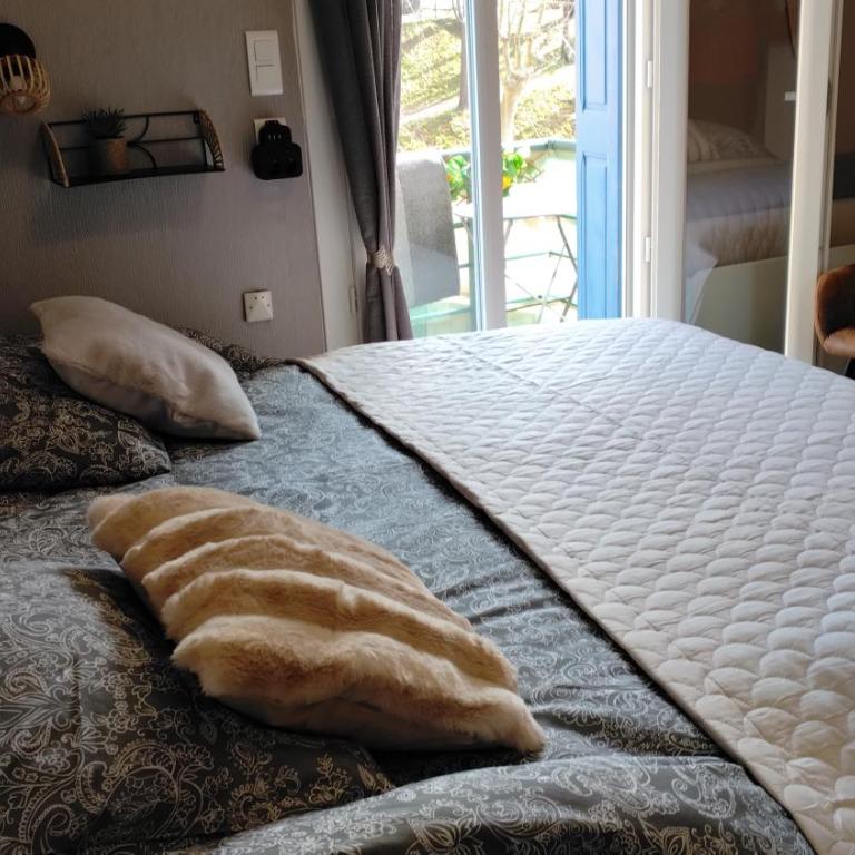Les Morèses - Appartement 1 Chambre - 5