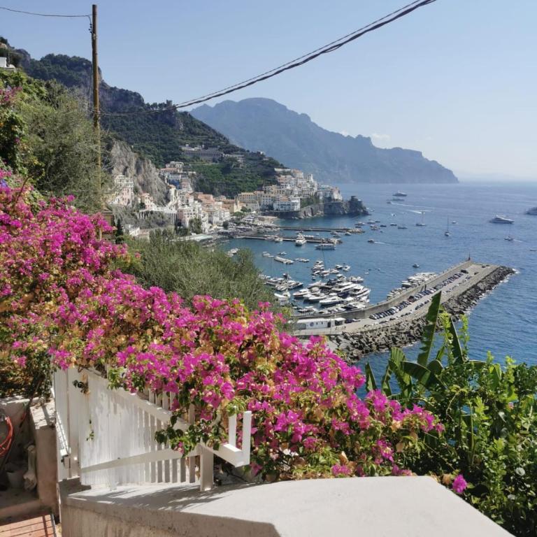 Bouganville & Sea - Appartamento - 39
