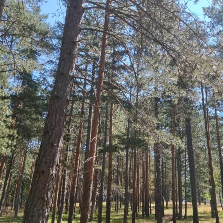 Apartman Mirković Zlatibor Central Residence - Apartment mit 2 Schlafzimmern - 3