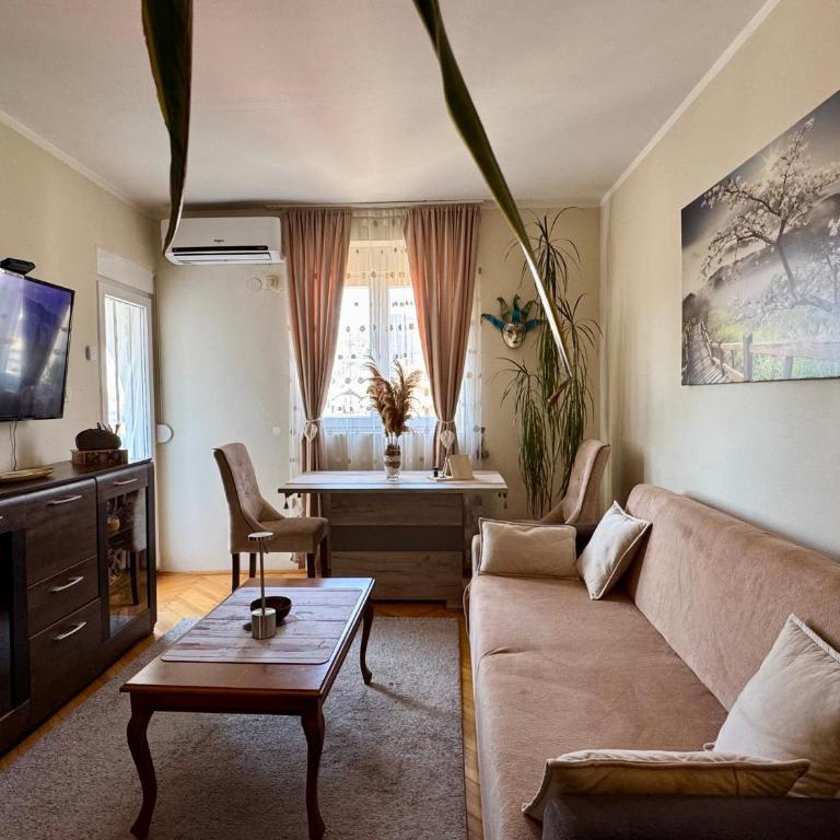 Apartman Budva Zeljka - Apartment - 27