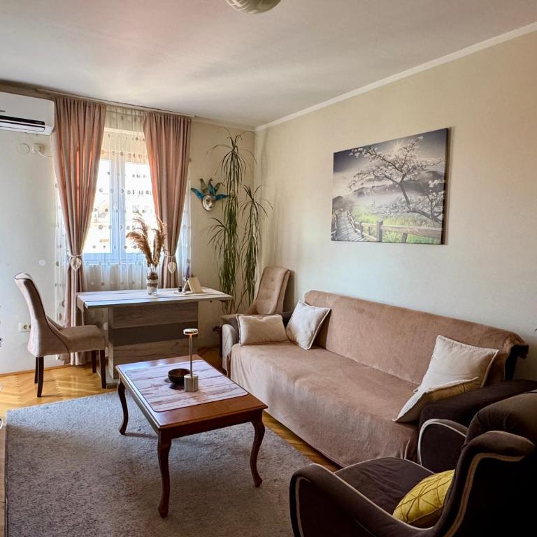 Apartman Budva Zeljka - Apartment - 6