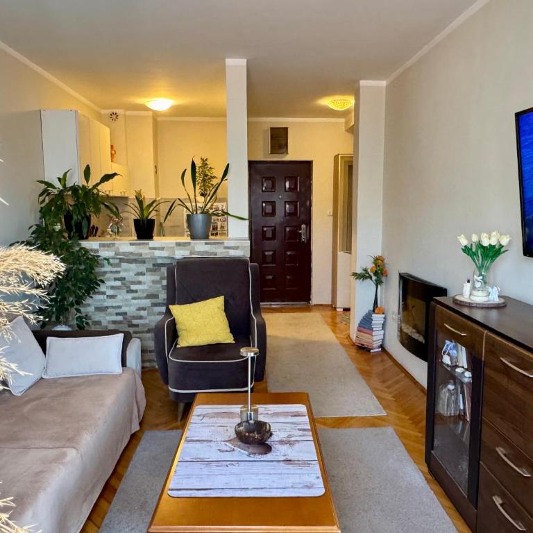 Apartman Budva Zeljka - Apartment - 29