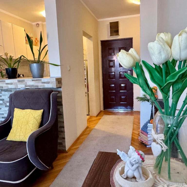 Apartman Budva Zeljka - Apartment - 31