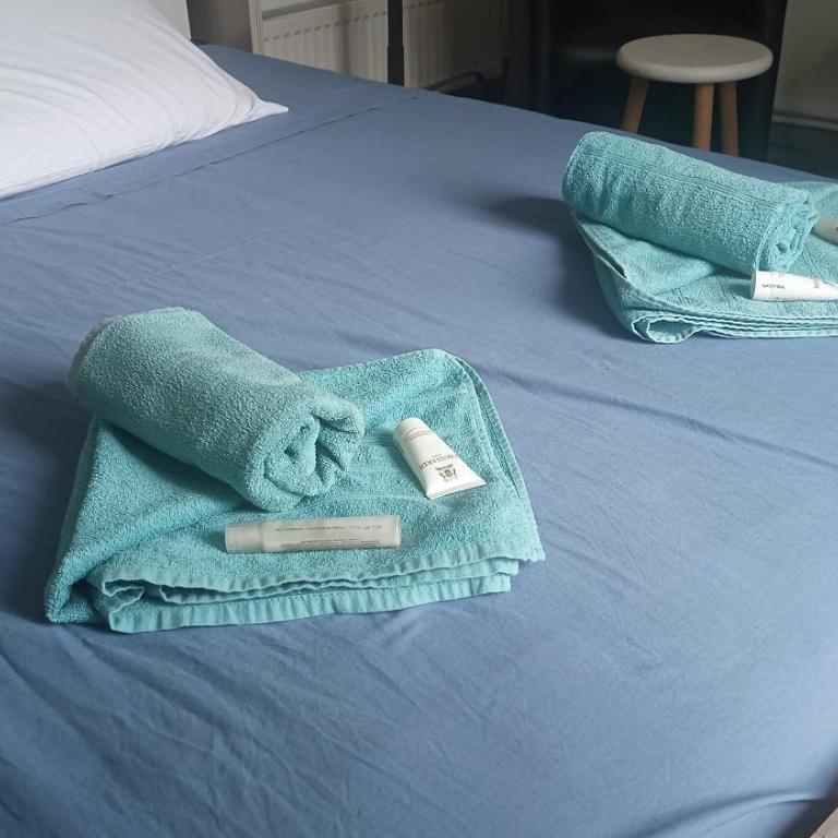 Le Domaine des Bellevesasses - Chambre Double - 7