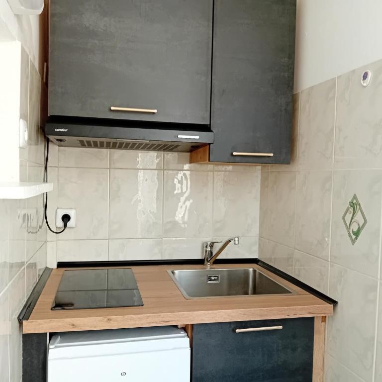 Residence Albion - Logement au calme dans la verdure ! MAE-7584 - Studio - 8