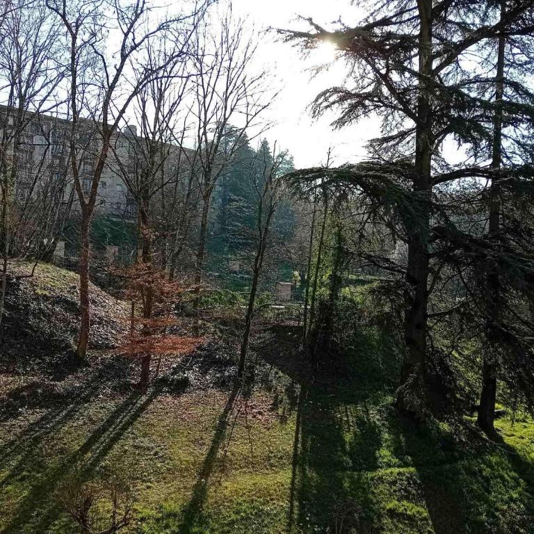 Residence Albion - Logement au calme dans la verdure ! MAE-7584 - Studio - 9