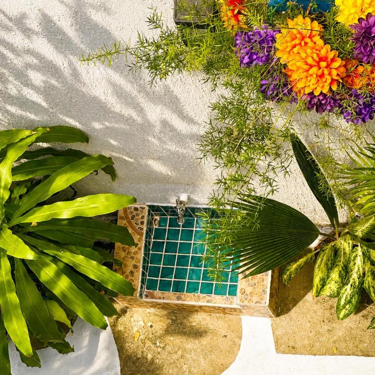 Casa MIKONOS - Apartamento de 2 dormitorios - 16