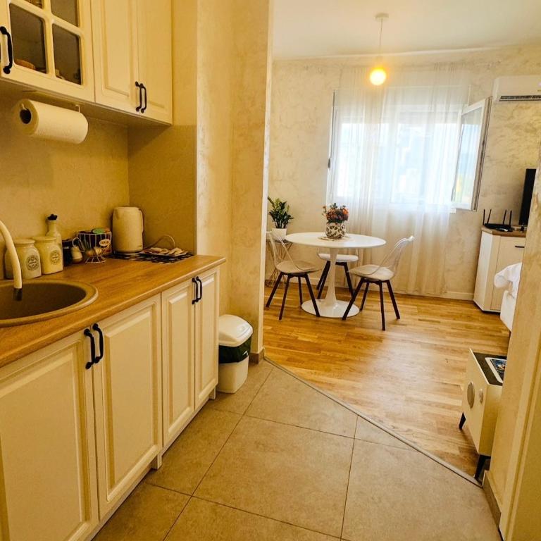 Tiffany apartment - Podgorica - Apartman sa 1 Spavaćom Sobom - 21