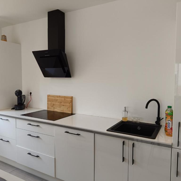 Les Embruns - Mer - Terrasse - Apartamento de 1 dormitorio - 1
