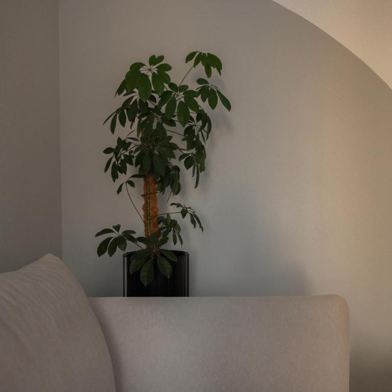 La Laguna Boutique Apartments - Deluks Apartman sa 2 Spavaće Sobe - 39
