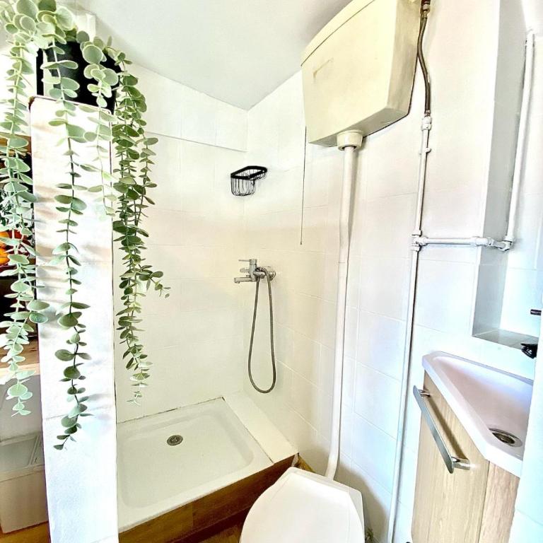 Studio solo cosy, cœur de Nice, gare 3 min - Monolocale - 7