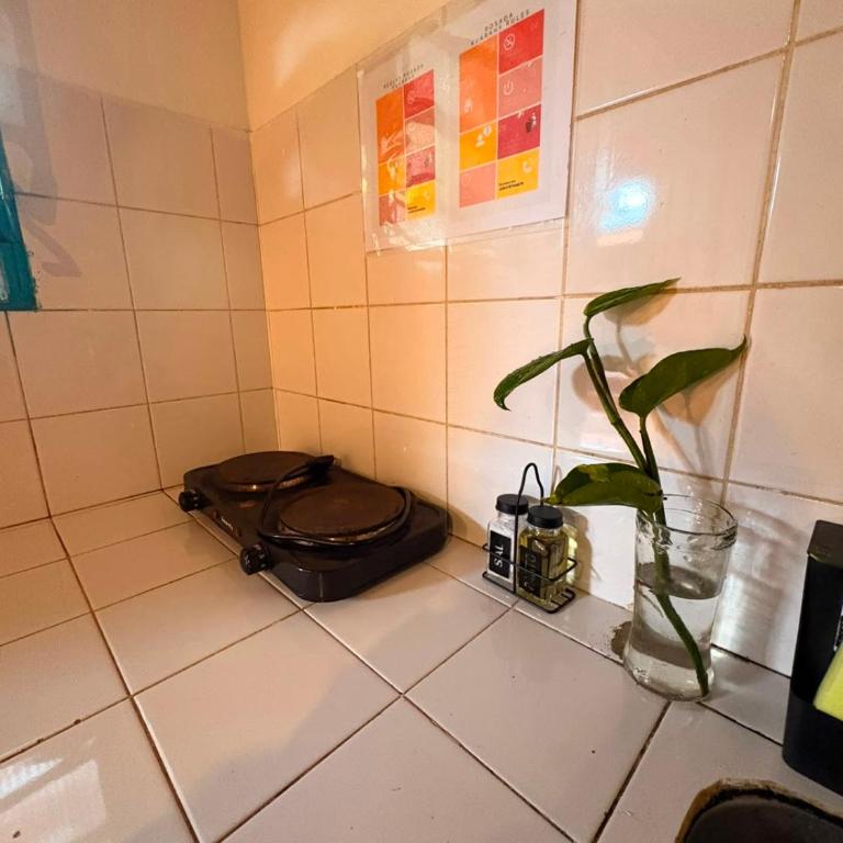 Posada KUARAHY - Quadruple Room with Garden View - 12